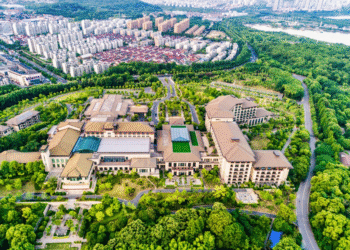 Der Boom der deutschen Immobilienbranche: Entwicklungen und Perspektiven für die Zukunft